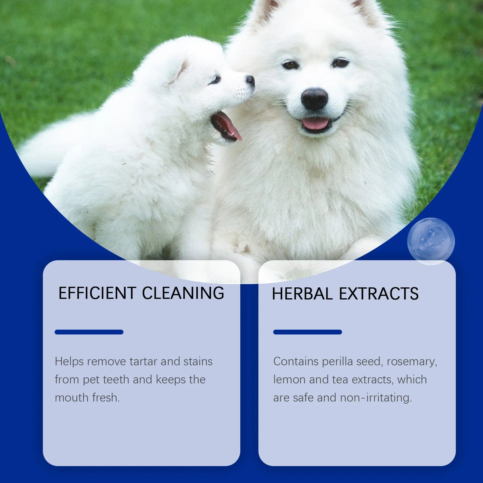 Dog Dental Cleaning & Whitening Powder