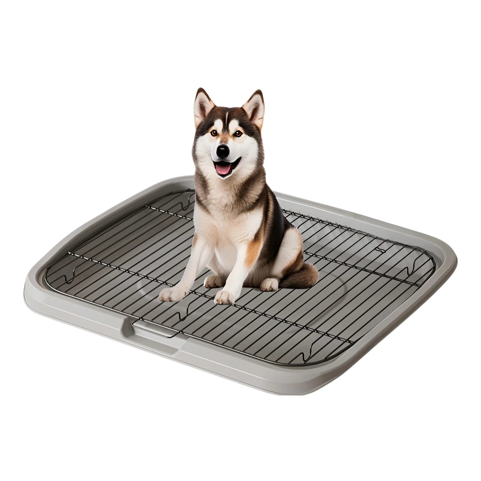 Stainless Steel Large Dog Toilet & Poop Collector