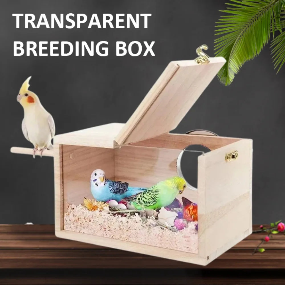 Transparent Bird House