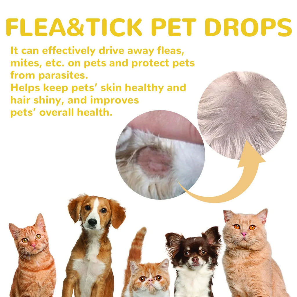 Cat Anti-Flea & Tick Drops