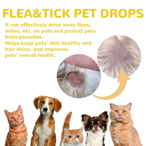 Cat Anti-Flea & Tick Drops