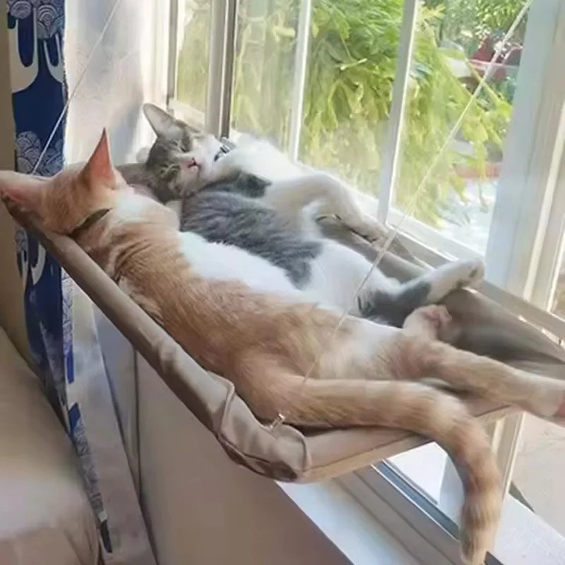 Cat Window Hammock Bed with Suction Cups
