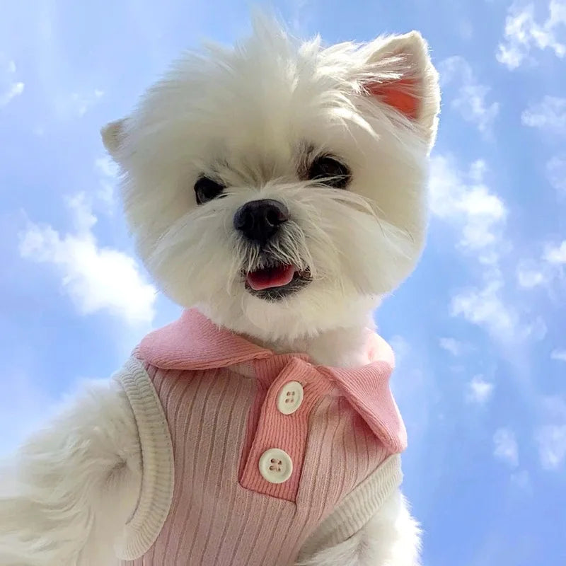 Summer Cooling Vest T-Shirt for Small Dogs