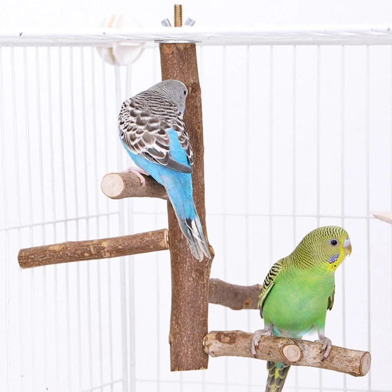Natural Wood Bird Branch Perch Stand