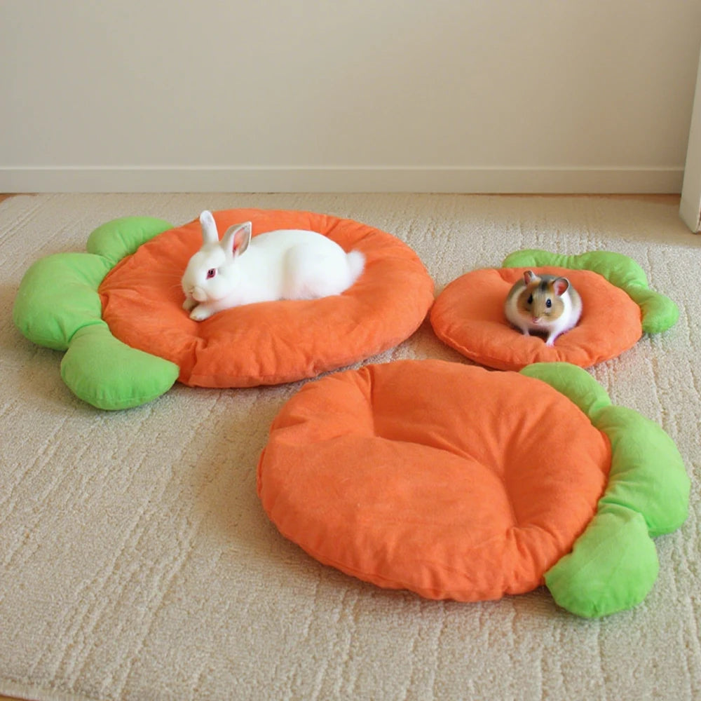 Soft Carrot Pet Sleeping Mat