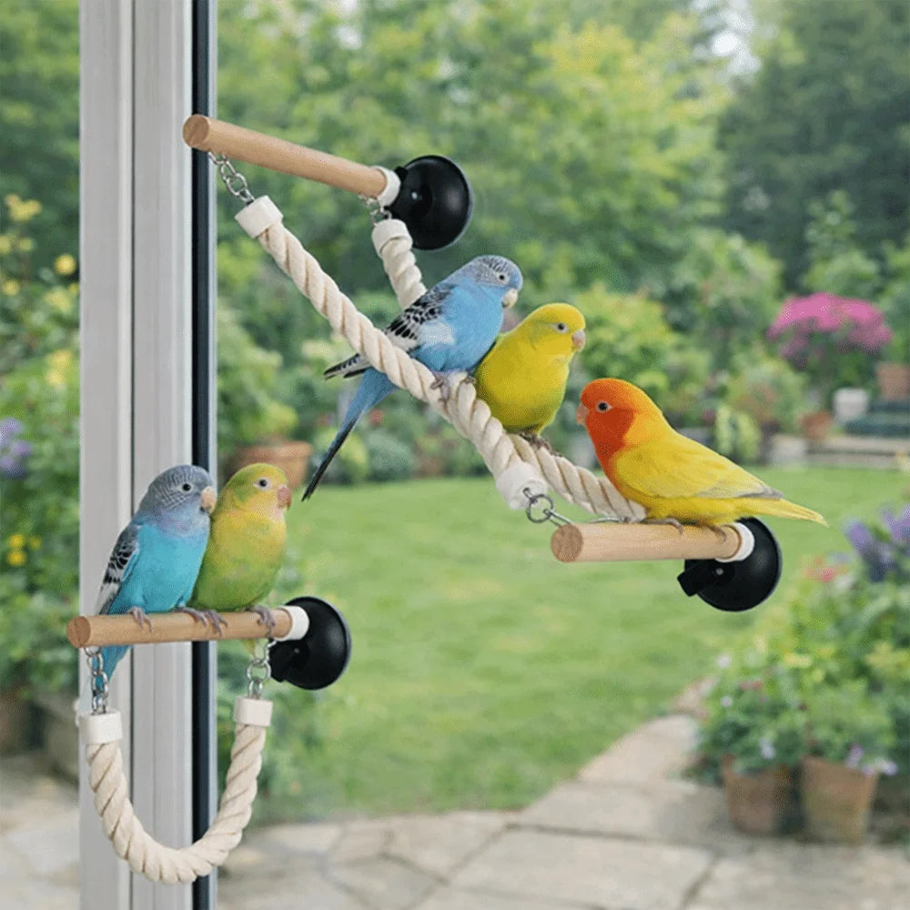 Suction Cup Parrot Swing & Climbing Perch