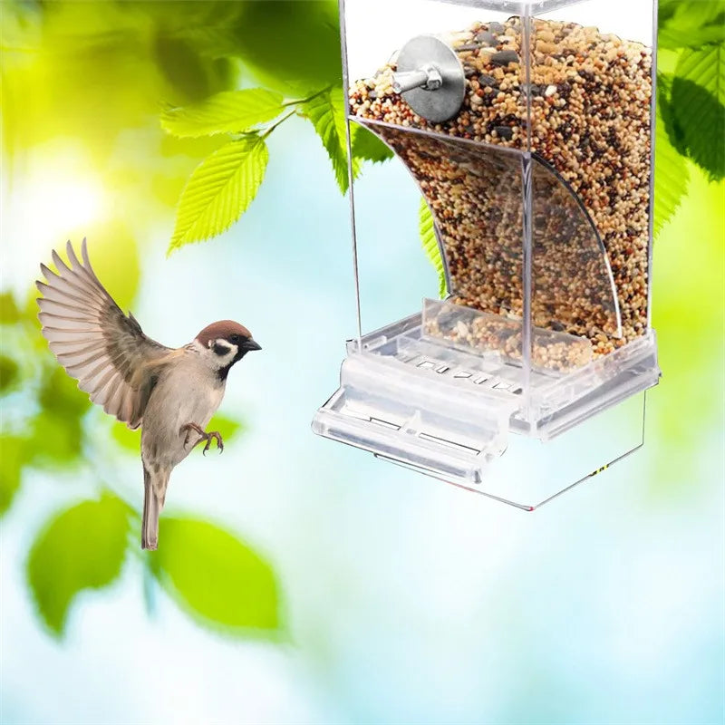 No-Mess Acrylic Bird Feeder & Drinker
