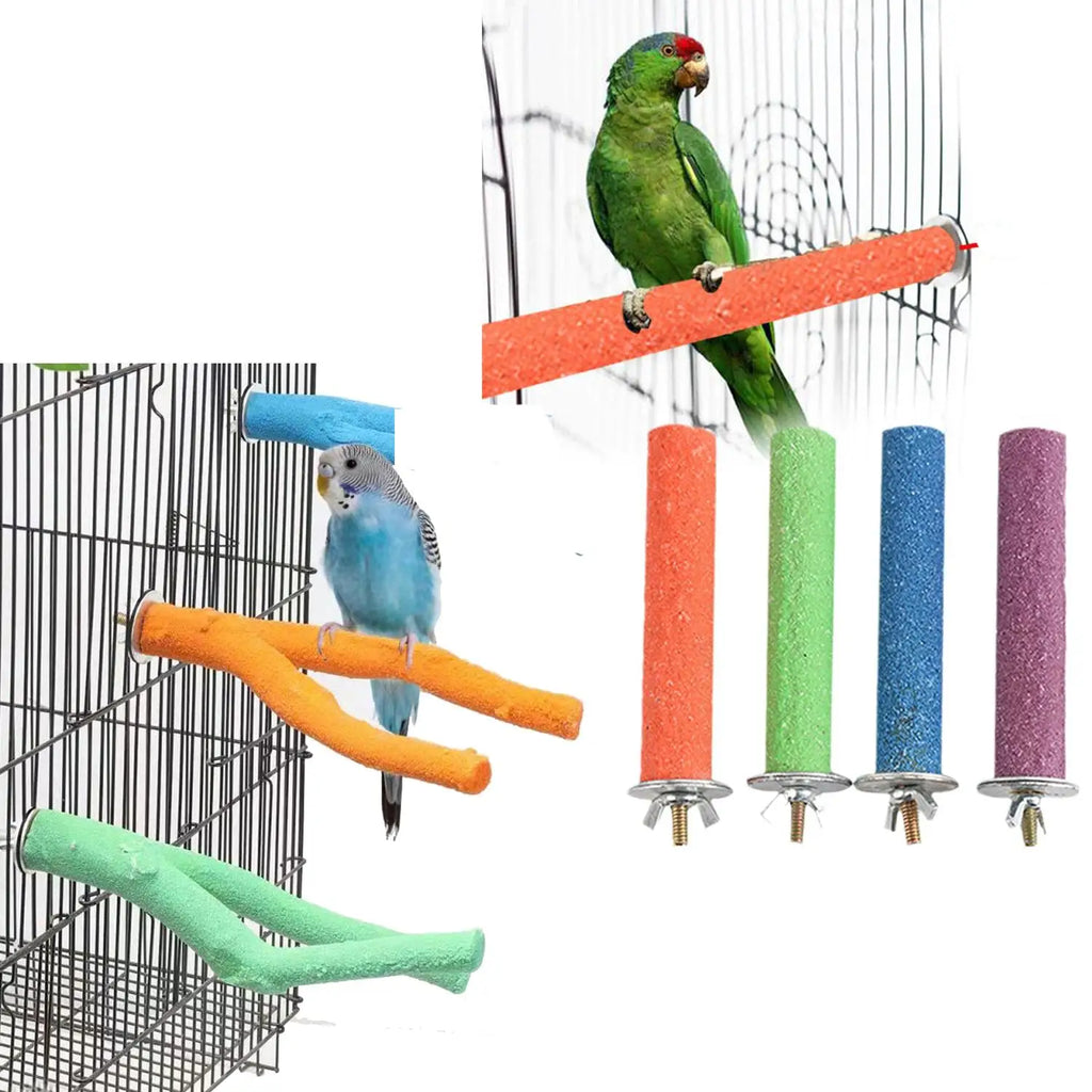 Parrot Grinding Perch