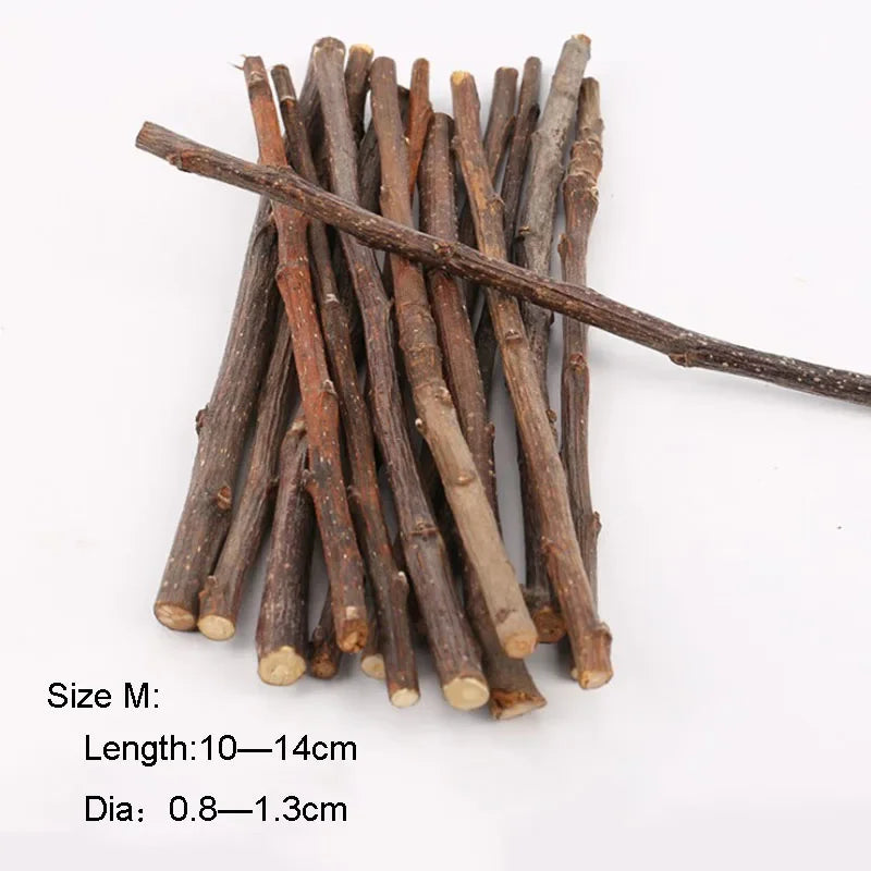 Small Pet Teeth Grinding Stick & Molar Stone