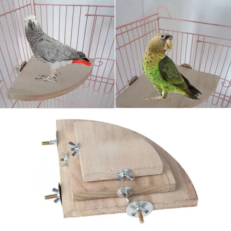 Fan-Shaped Bird Stand