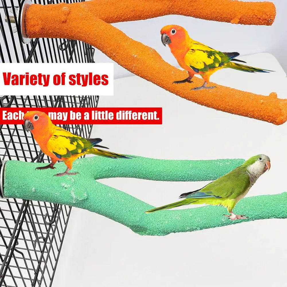Parrot Grinding Perch
