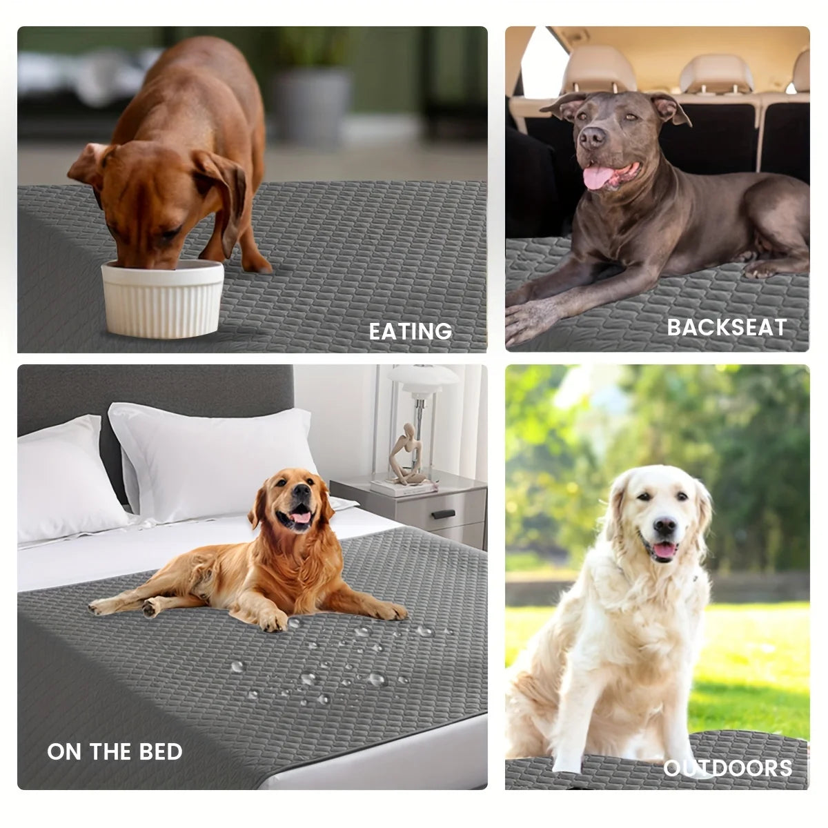 Waterproof Non-Slip Pet Blanket & Couch Cover