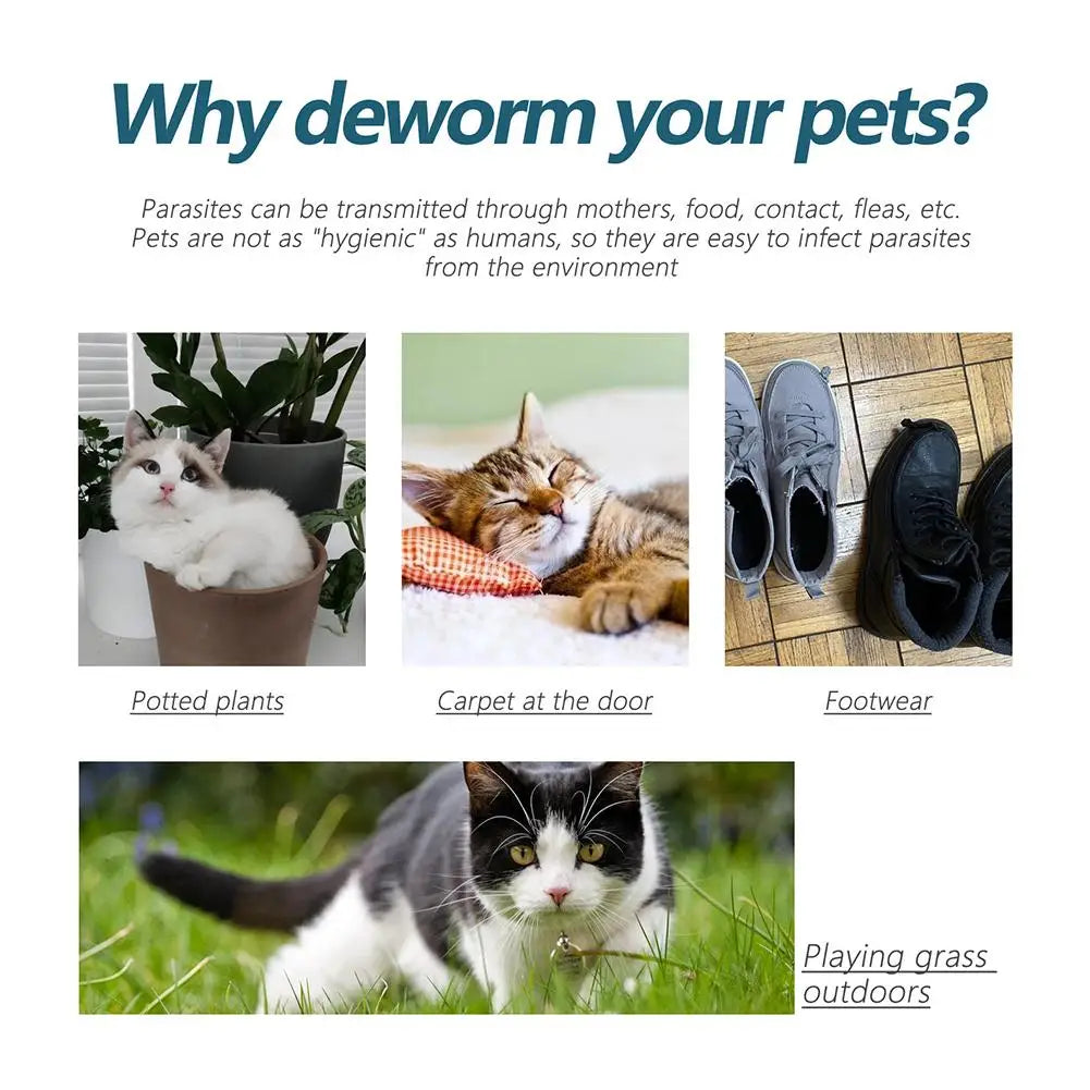 Flea, Tick & Mite Treatment Drops