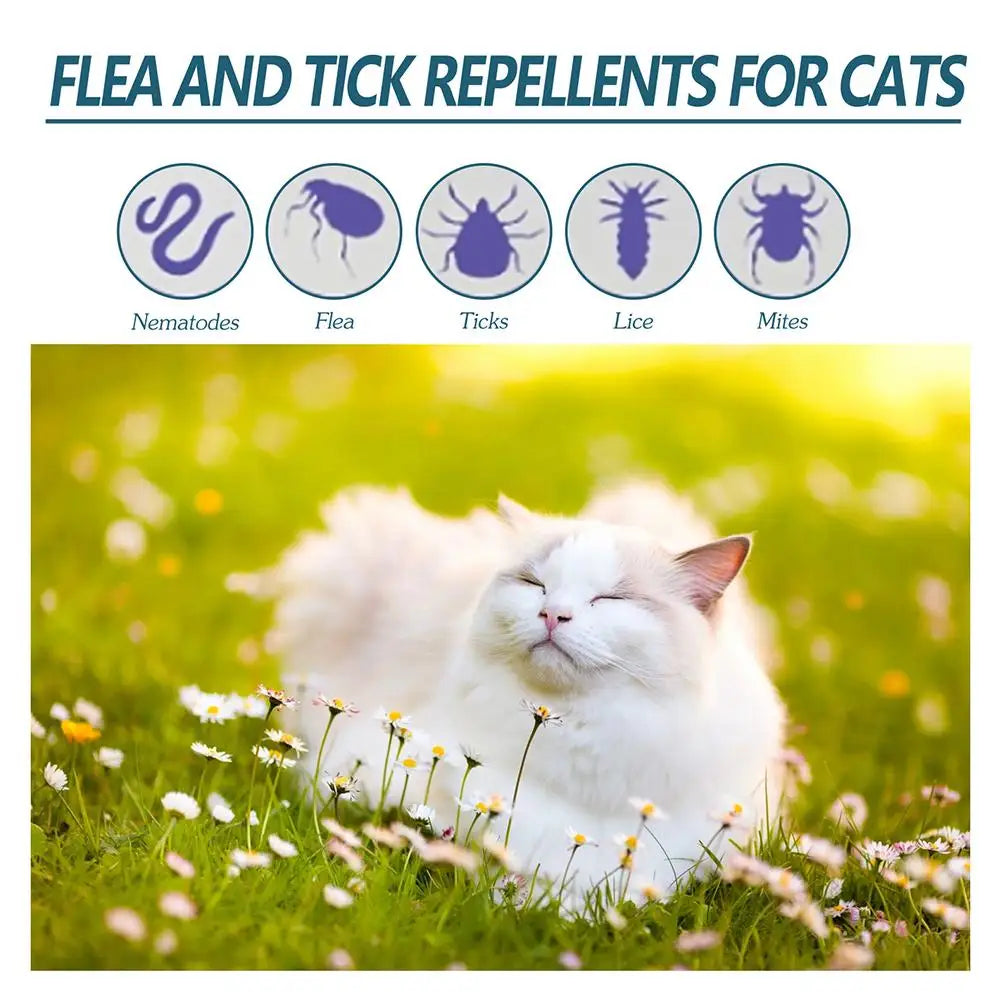 Flea, Tick & Mite Treatment Drops