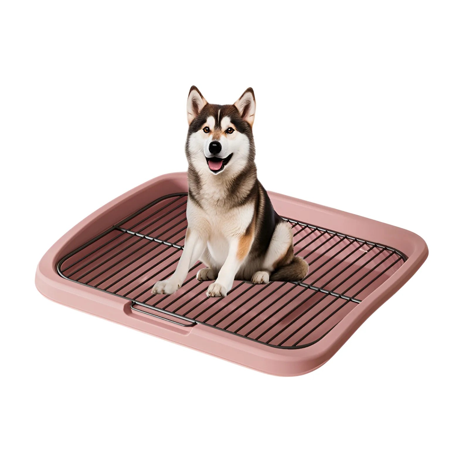 Stainless Steel Large Dog Toilet & Poop Collector