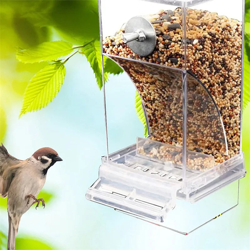 No-Mess Acrylic Bird Feeder & Drinker