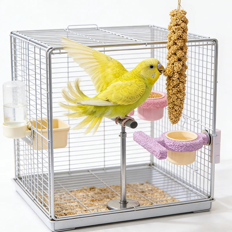 Parrot Perch & Claw Grinding Stand with Food Cup