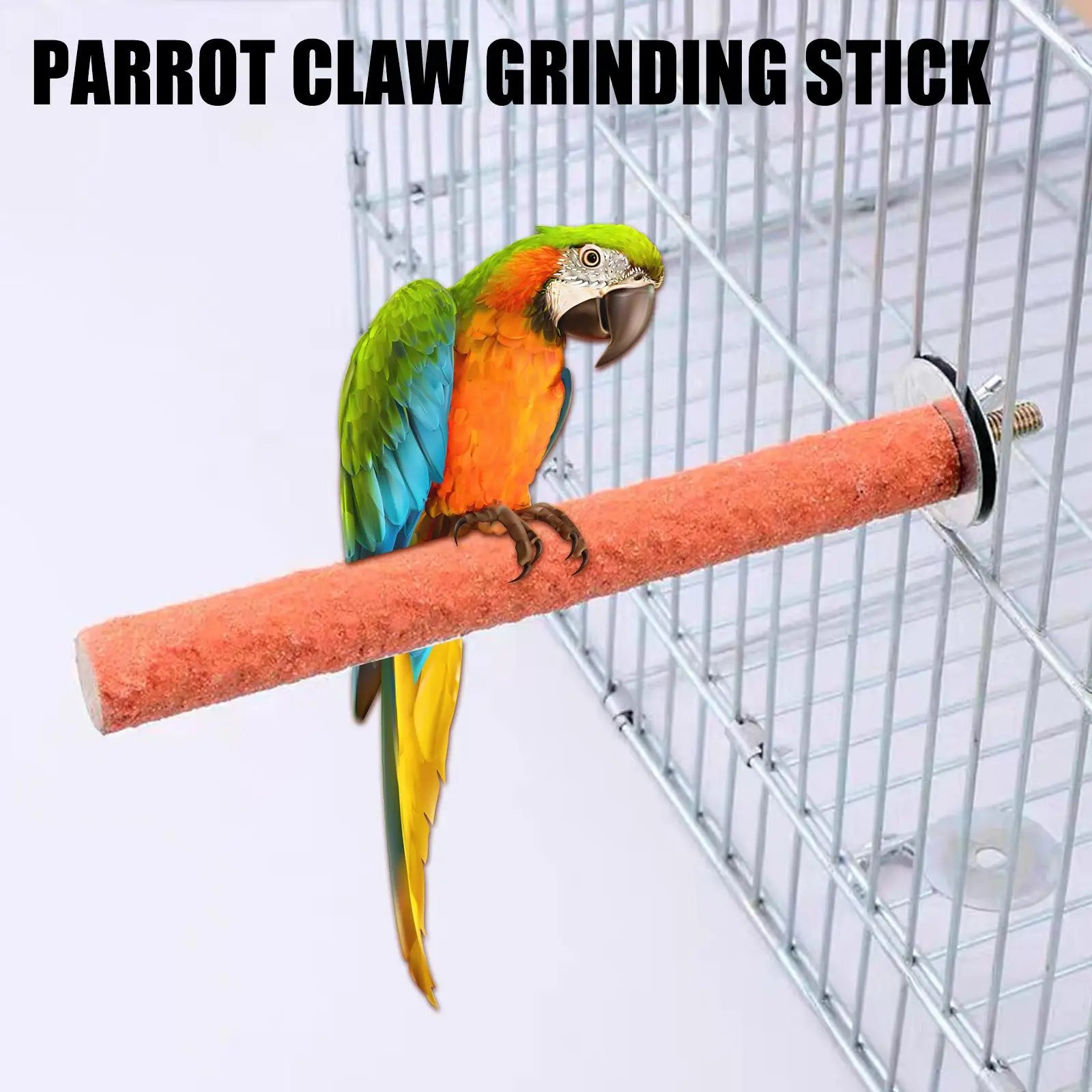 Parrot Grinding Perch