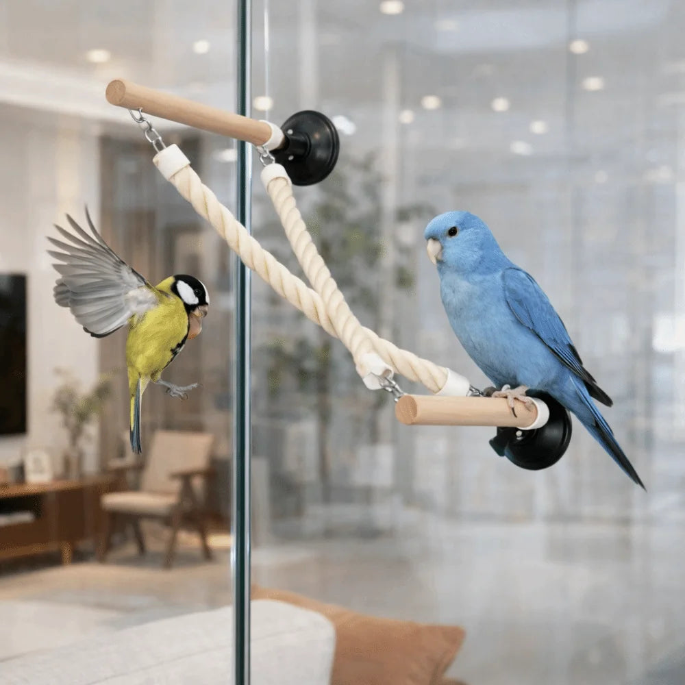 Suction Cup Parrot Swing & Climbing Perch