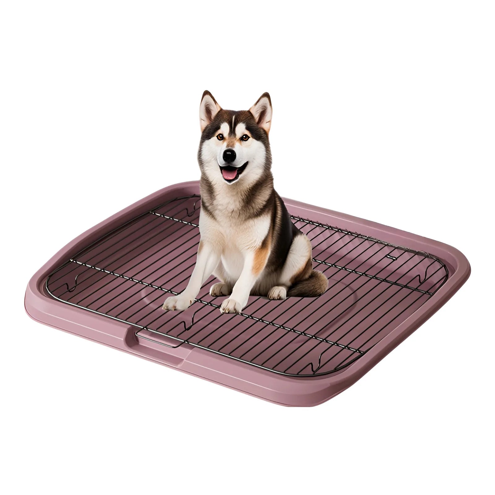 Stainless Steel Large Dog Toilet & Poop Collector