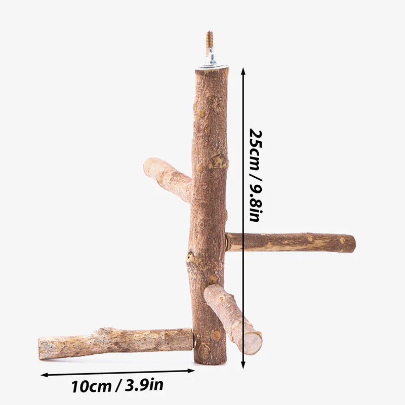 Natural Wood Bird Branch Perch Stand