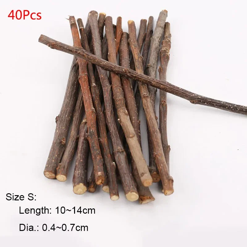 Small Pet Teeth Grinding Stick & Molar Stone
