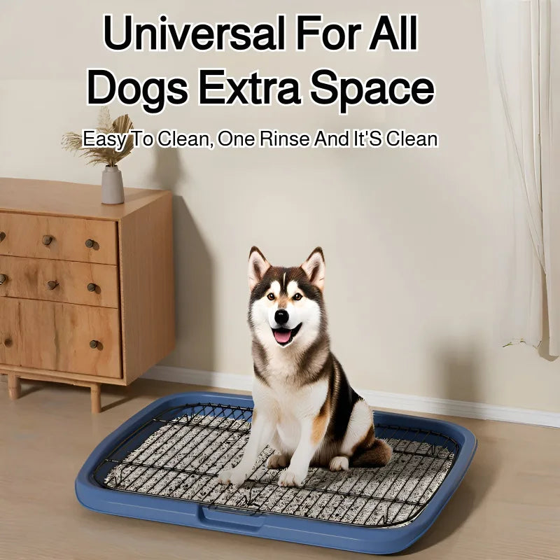 Stainless Steel Large Dog Toilet & Poop Collector