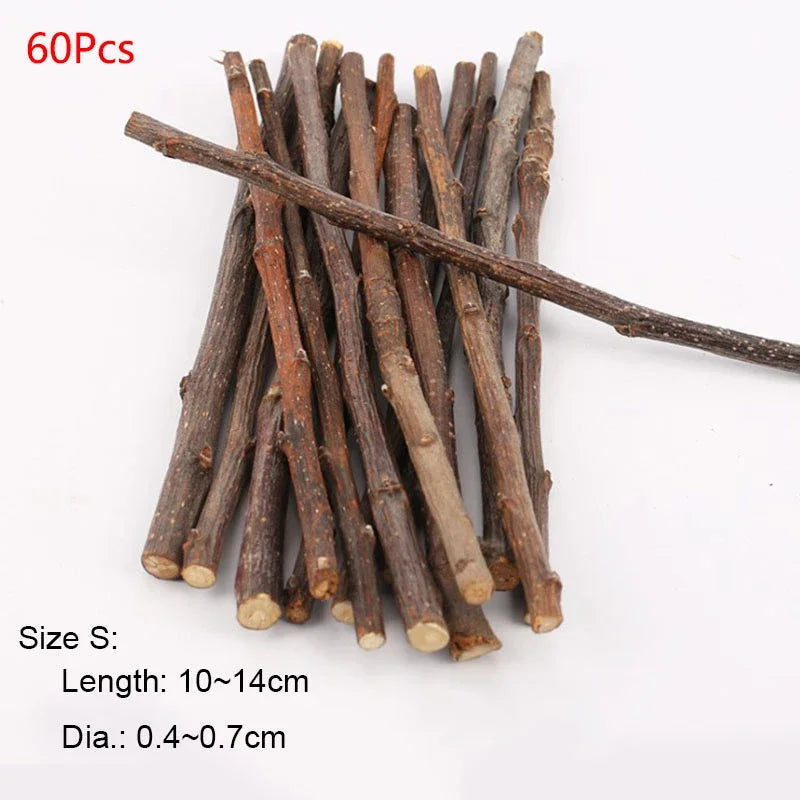 Small Pet Teeth Grinding Stick & Molar Stone