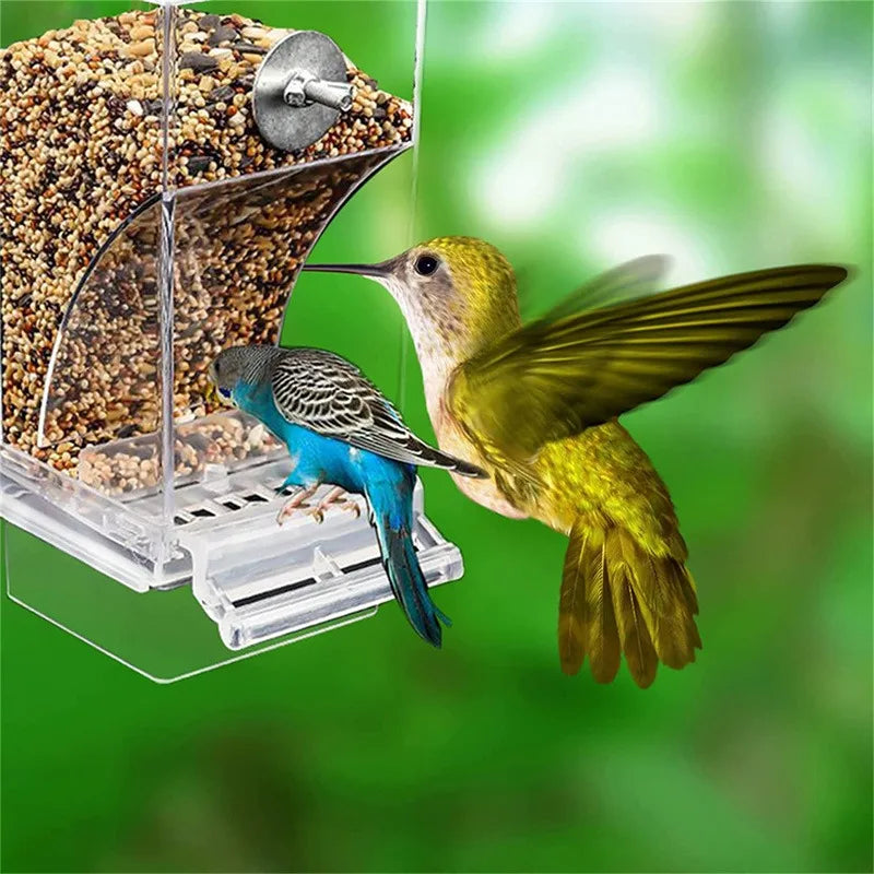 No-Mess Acrylic Bird Feeder & Drinker