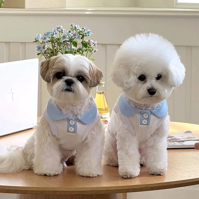 Summer Cooling Vest T-Shirt for Small Dogs