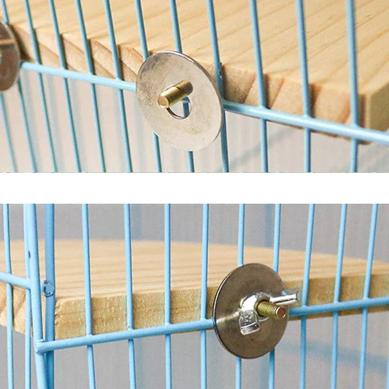 Fan-Shaped Bird Stand