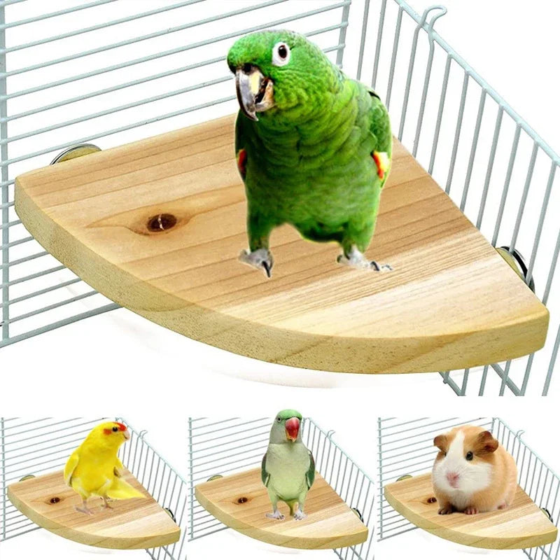 Fan-Shaped Bird Stand