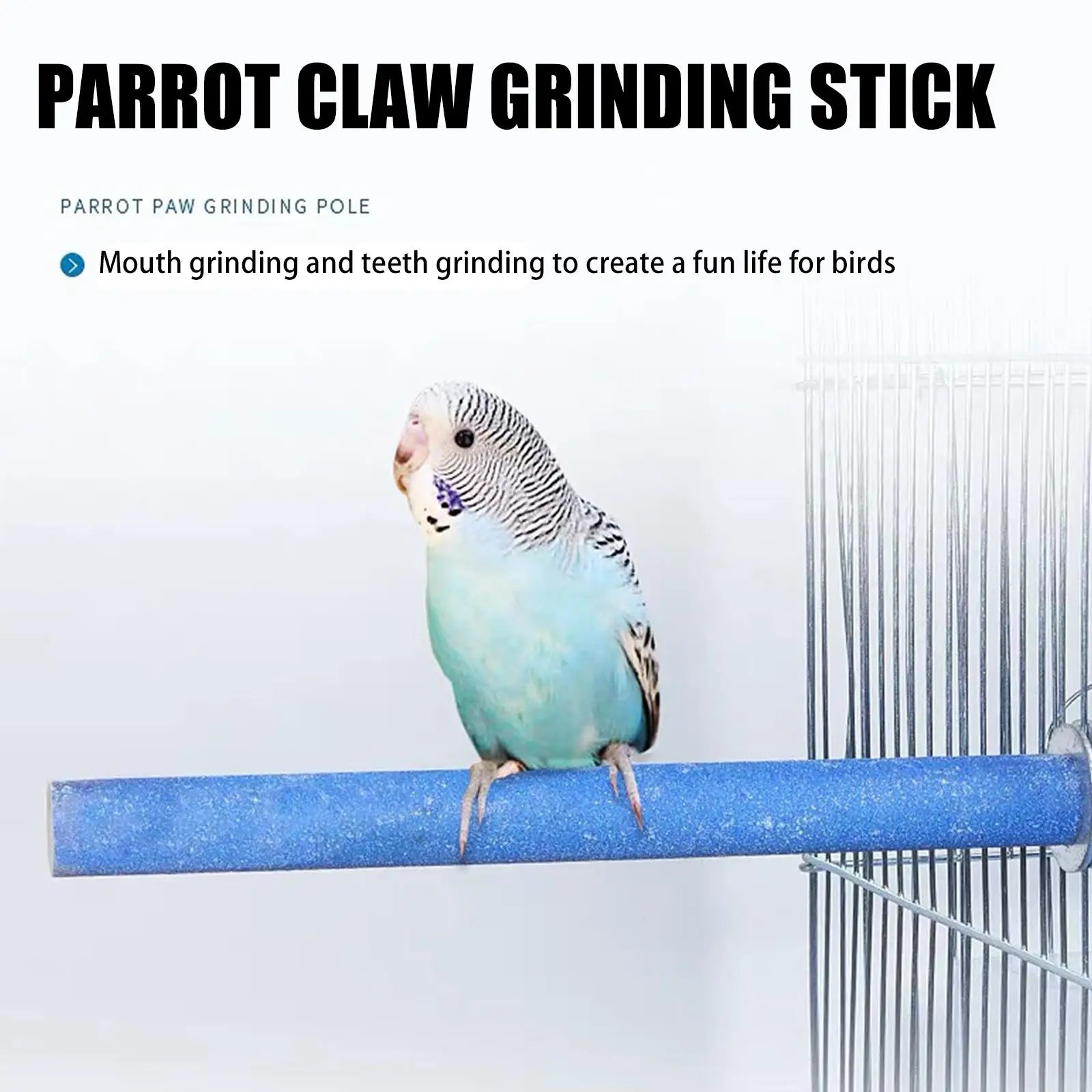 Parrot Grinding Perch